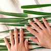 Herbaltree Manicure<br> 